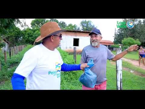 Entrega de peixes para as famílias lagoverdenses!