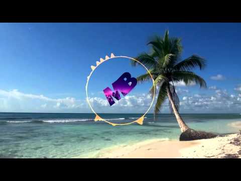 Major Lazor ft DJ Snake - Lean On | Praia Del Sol & Renco Remix [Tropical House]