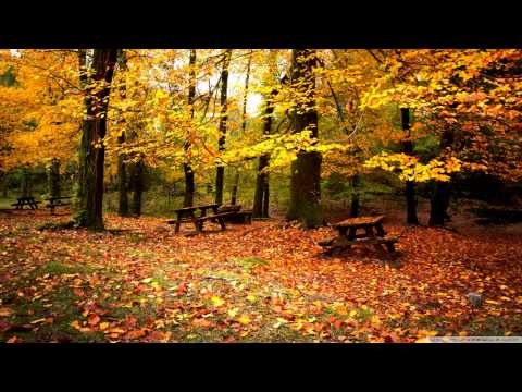 1 Hour Chill & Dope Liquid Drum and Bass Mix 2013