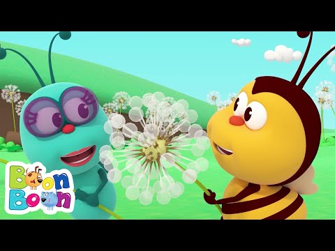 Un Cântec despre Simțuri 🥰 Cântece Ritmate BoonBoon