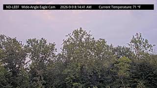 ND-LEEF Wide Angle Camera live webcam
