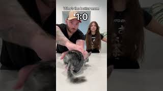 My first chinchilla ever BETRAYED ME