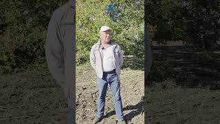 Salford I-1118 disk harrow | Image 5 - Agroline