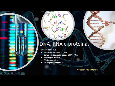 DNA, RNA e proteínas