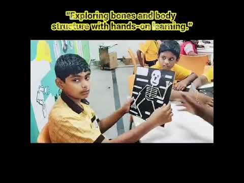 Human skeletal system hands-on activity