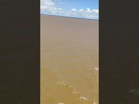 Dangerous Anaconda snake river brazil #brazil #explorepage #anaconda #explore