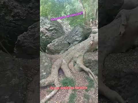 Arequita en Lavalleja