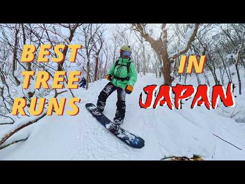 TAP IN to See the BEST Tree Runs in Japan! (Epic Powder Day at Rusutsu) 🏂 🌲