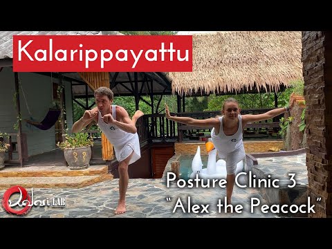 🦚 Posture clinic - Alex the Peacock - Indian Martial Art Kalarippayattu