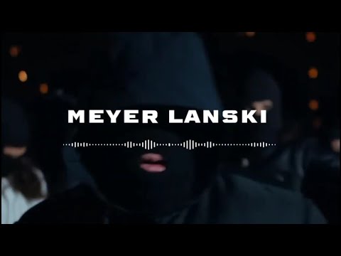 [FREE] KAARIS X KALASH CRIMINEL X TOVARITCH TYPE BEAT - MEYER LANSKI