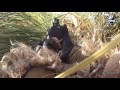 SNIPER GOLUM SCOPECAM K12