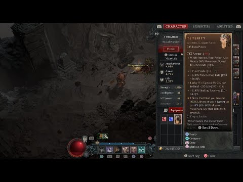 Diablo IV - Temerity - Unique Items