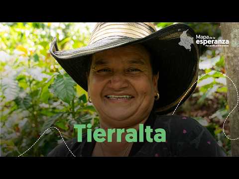 Sembrar futuro a través del café en Tierralta |