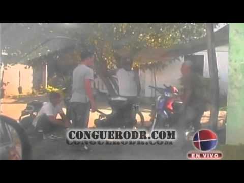 They're Billing You - The Dead Dog