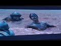 Chhava Movie Last Fight Scene Chhatrapatishivajimaharaj Chhava Viralvideo Harharmahadevॐ