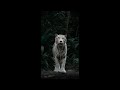 Florence & The Machine - Hiding (Slowed & 432Hz)