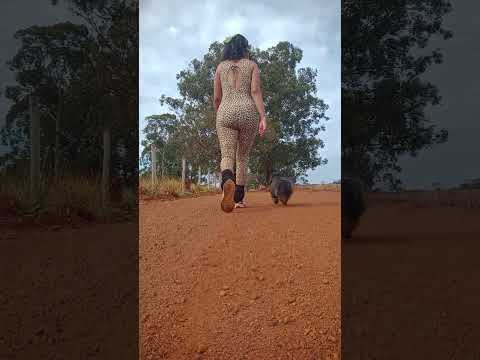 Caminhada sertaneja Comunidade Santa Rita município Vianópolis Goiás Brasil