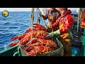 how farmers raise lobsters on floating farms catching tons of lobsters farming documentary