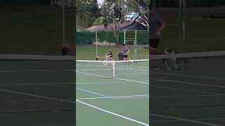 Video preview image #1 Bulldog-Unknown Mix Puppy For Sale in Lighthouse Point, FL, USA