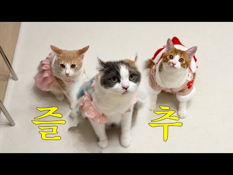 얘들아 얘네들이 추석 인사 올린다고 하니 댓글 예쁘게 달아줘 참고로 너무 귀여워서 안 보면 후회할걸