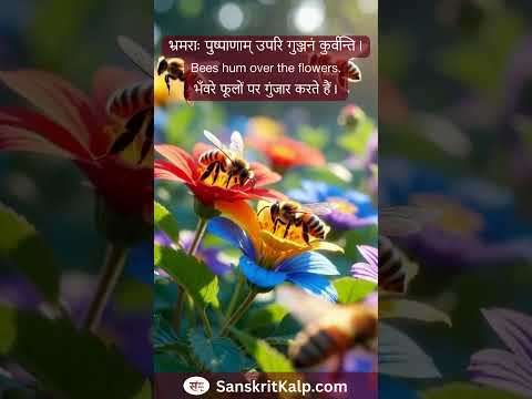 Sanskrit Story - 3 | Sanskrit Kalp