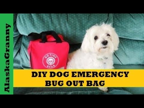 Bug Out Bag for Dogs Pets DIY Emergency Kit...Prepping With Pets
