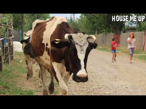 DJ Flaton Fox - Japanese Roots (Original Mix) [Seres Produções]