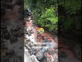 Sadis ️rem Blong Mobil Truk Masuk Jurang