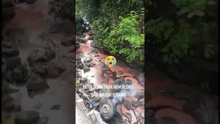 Download lagu Sadis‼️rem Blong mobil truk masuk Jurang 😱 mp3