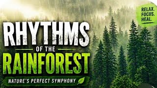 Rhythms of the Rainforest #viral #explore #newtrend 