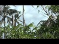 PBS NewsHour Full Episode Saturday July 19 2014