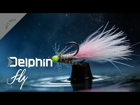 Delphin FLY / Wild trout