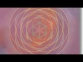 The Infinite Field Revealed - John Gilmore