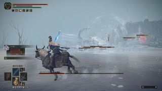 ELDEN RING 凍てつく霧ボレアリス(巨人たちの山嶺・氷結湖)