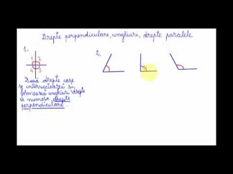 Drepte perpendiculare, unghiuri drepte paralele - Matematică clasa a IV-a
