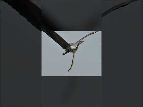 Rare Photos You May Not Have Seen Before | Part 05