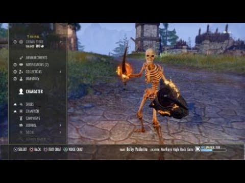 Elder Scrolls Online BashCrow Build