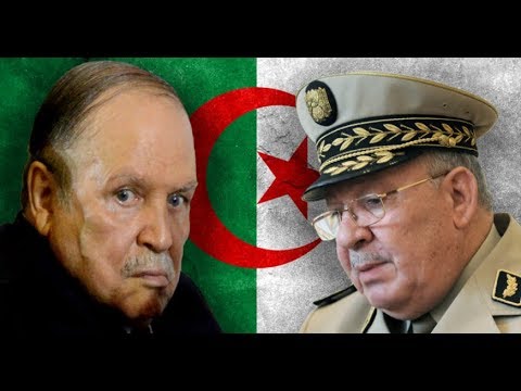 نقاش ساخن في "المغاربية" حول مؤسسة الجيش الجزائري