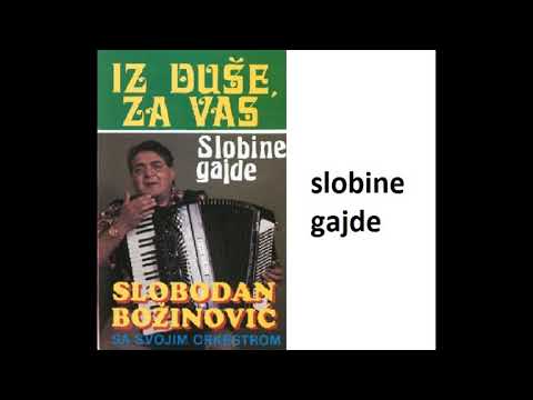 SLOBODAN BOZINOVIC - SLOBINE GAJDE (VlaskiMelos)