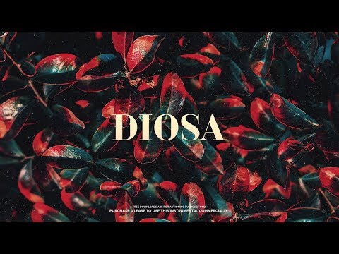Afrobeat Type Beat "DIOSA" Wizkid Type Beat | Dancehall Type Beat 2022