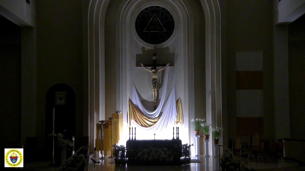 3/9 - Live Sanctuary with the Luminous Mysteries of the Rosary every 20 minutes