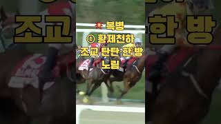 25년 11월 29일 토요일 제주 2경주 1000미터 분석 및 예측 #제주경마#주말경마#토요경마#11월경마