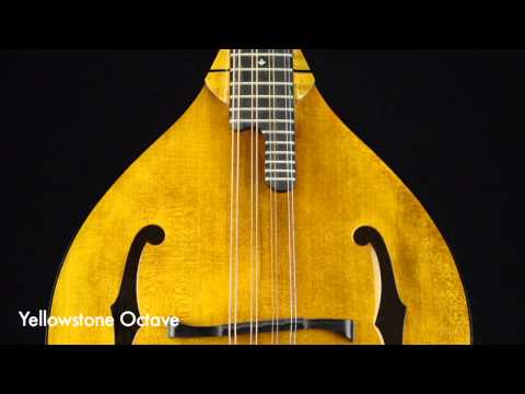 Weber Fine Acoustic Instruments: Yellowstone Octave Video