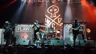 Flaw Payback  Live 2022