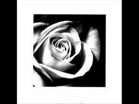 Im Sprung REMIX ft. ShadowKID