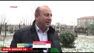 Открыть свой тепличный бизнес в Чечне может каждый