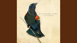 Blackbird Song
