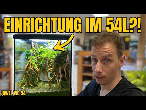 Setting up a JUWEL VIO 54 aquarium: Brutal scape in a 54L tank