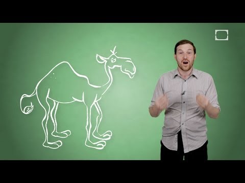 ラクダのこぶは水を含んでいますか？ (Do The Humps On Camels Hold Water?)