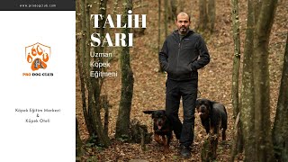 PRO DOG CLUB - İSTANBUL KÖPEK EĞİTİM MERKEZİ VE KÖPEK OTELİ - TALİH SA